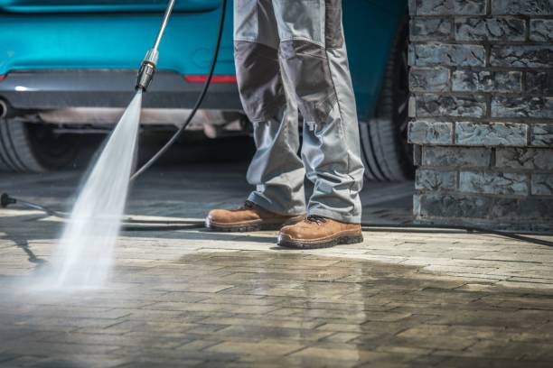 Best Winterizing Services  in Little Falls, MN
