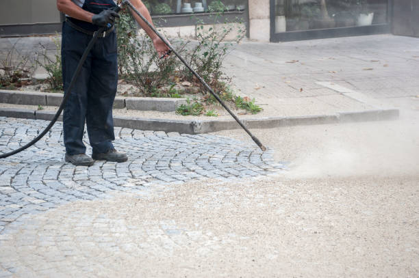 Best Dumpster Area Cleaning  in Little Falls, MN