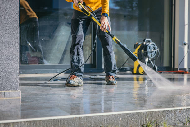 Best Spring Cleaning  in Little Falls, MN