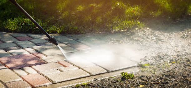 Best Sidewalk and Walkway Cleaning  in Little Falls, MN