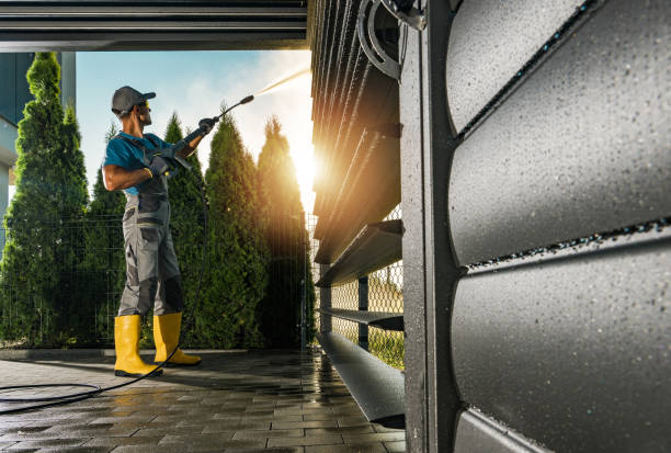 Best Graffiti Removal  in Little Falls, MN