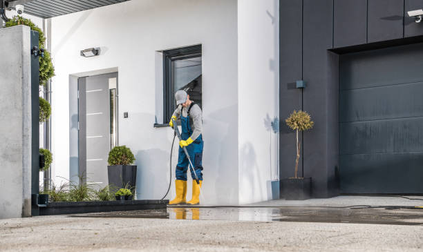 Best Driveway Pressure Washing  in Little Falls, MN